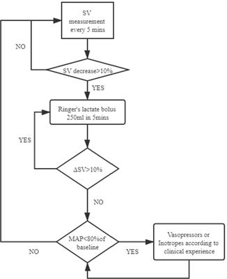 Goal-Directed Intraoperative Fluid Therapy Benefits Patients Undergoing Major Gynecologic Oncology Surgery: A Controlled Before-and-After Study